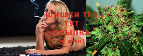 гидра Каменск-Шахтинский