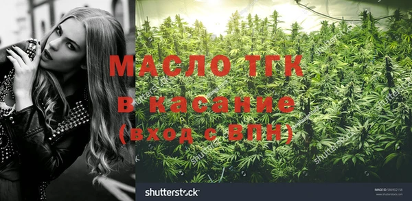 эйфоретик Каменногорск