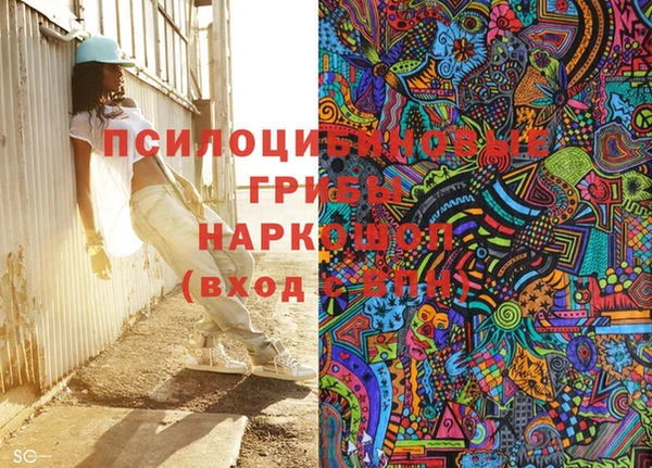 эйфоретик Каменногорск